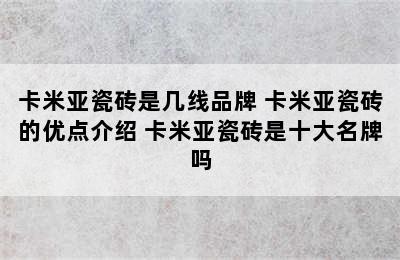 卡米亚瓷砖是几线品牌 卡米亚瓷砖的优点介绍 卡米亚瓷砖是十大名牌吗